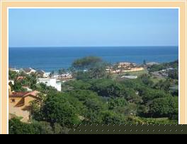 Zuider Zee Guest House 8 - BedandBreakfast.co.za Zuider Zee Guest House 8 - bedandbreakfast